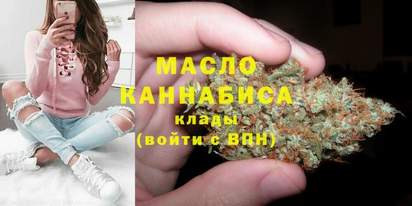 соль ск Козельск