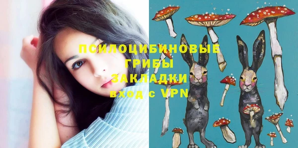 соль курить ск Козловка