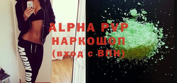 сатива Коряжма