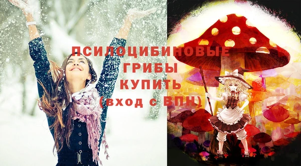 соль курить ск Козловка