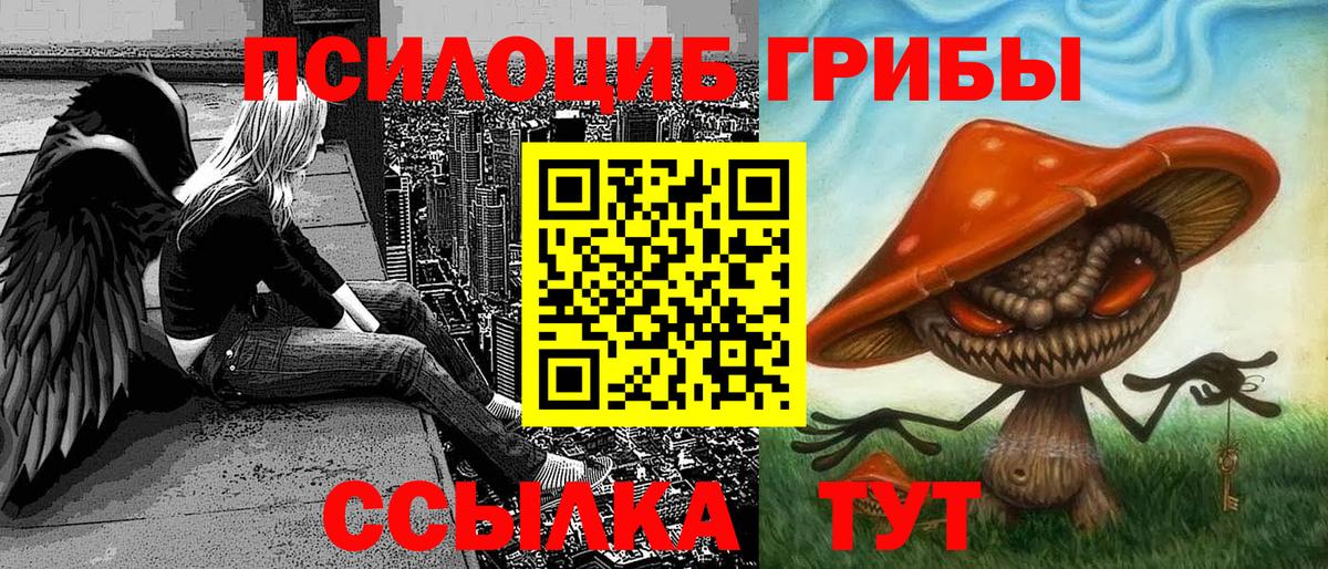 Псилоцибиновые грибы Psilocybe Малгобек