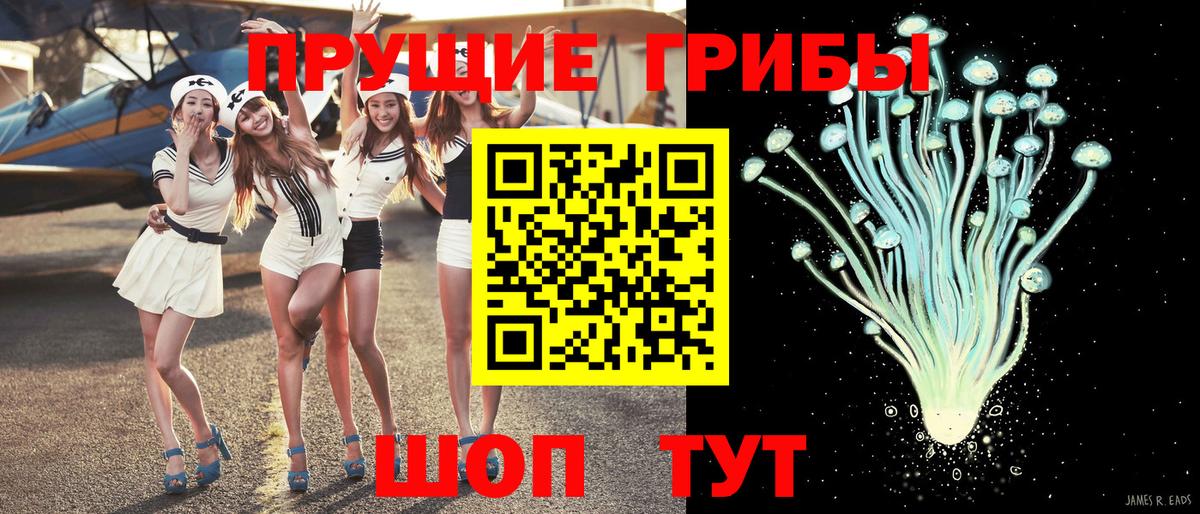 Малгобек  Псилоцибиновые грибы Magic Shrooms  Вход с VPN  Галлюциногенные грибы Cubensis 